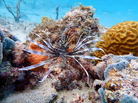 Crystal Clear-维切克岛必去景点