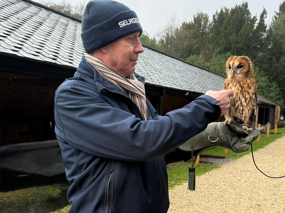 Bird of Prey Experiences - Hawkeye Falconry UK-Thoresby必去景点