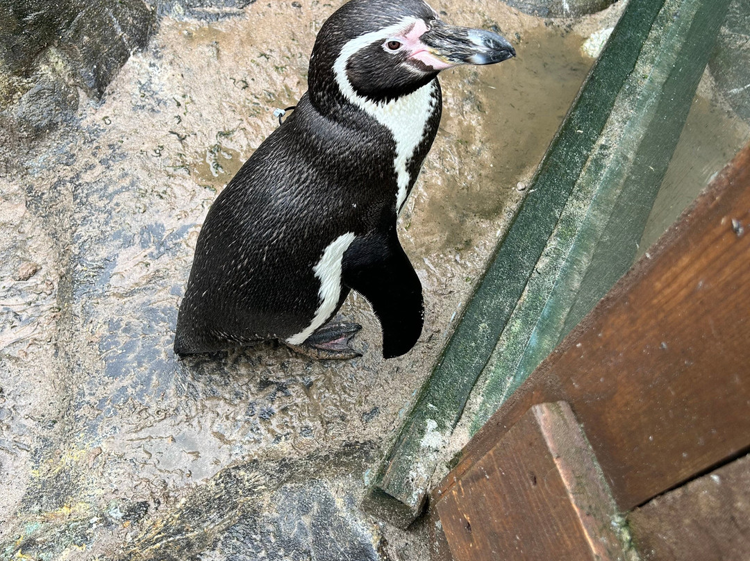 SEA LIFE Hunstanton-Hunstanton必去景点