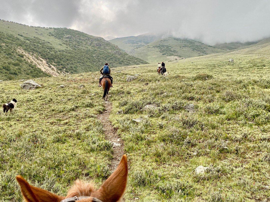 Horse Trek Andes-门多萨必去景点