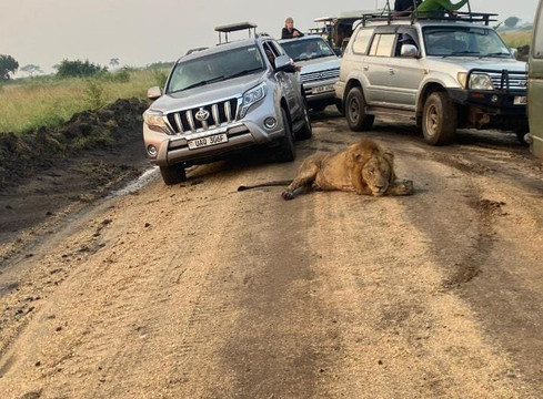 Dallago Tours Kenya Tanzania Limited-内罗毕必去景点