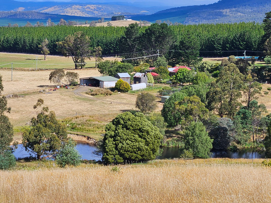 哈姆雷特丘陵地区住宿主图