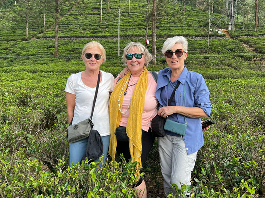 Amaya Tours-尼甘布必去景点