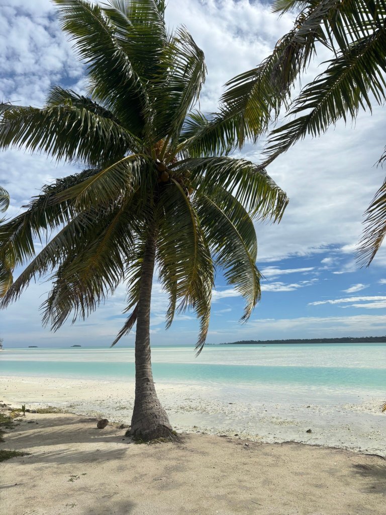 艾图塔基村酒店-官方
