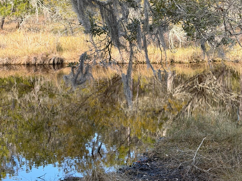 St. Phillips Island Ferry-Saint Helena Island必去景点