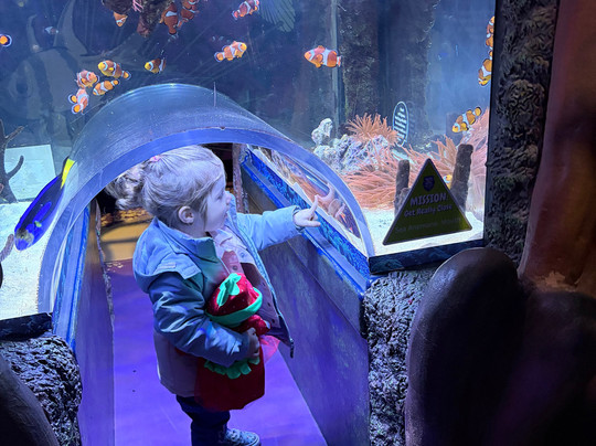 Sea Life Manchester-Trafford Park必去景点