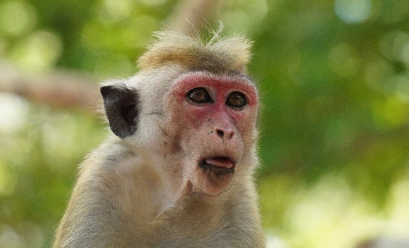 Pradeep Tours-瓦勒迦玛必去景点