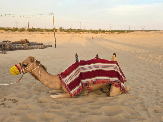 Desert Team Tourism-迪拜必去景点