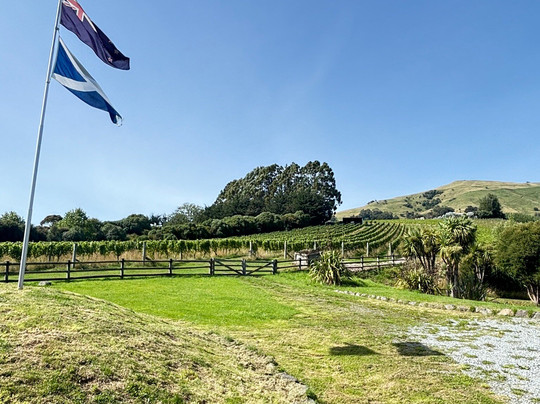 French Peak Vineyard-阿卡罗阿必去景点