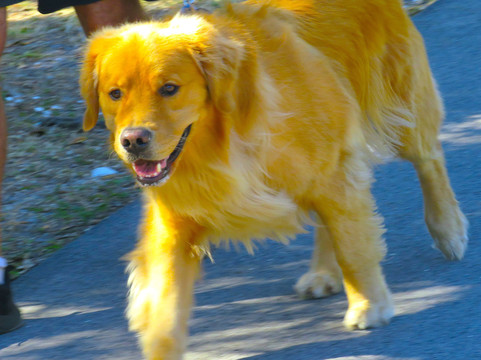 Rotary Park Environmental Center-开普科勒尔必去景点