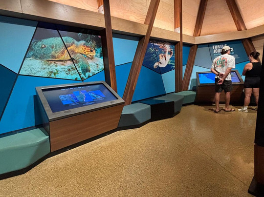 Mon Repos Turtle Encounter-邦德堡必去景点