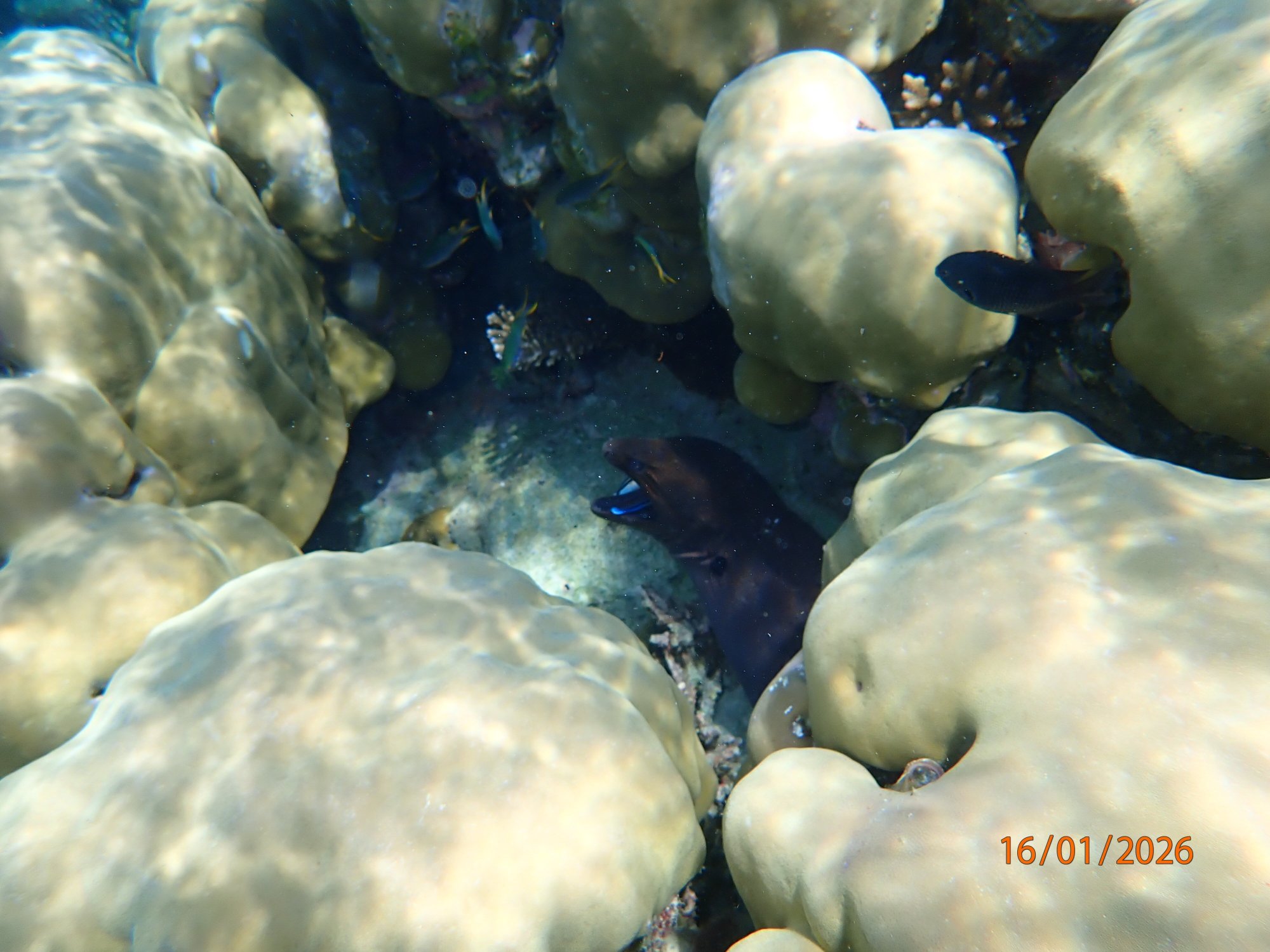 德瑞福特塞路维里加休闲酒店-官方