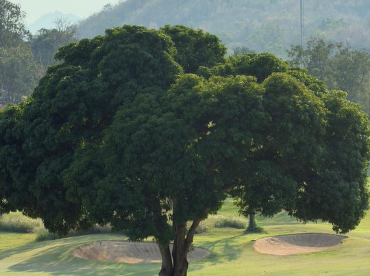 桑迪布瑞苏梅乡村俱乐部-湄南必去景点
