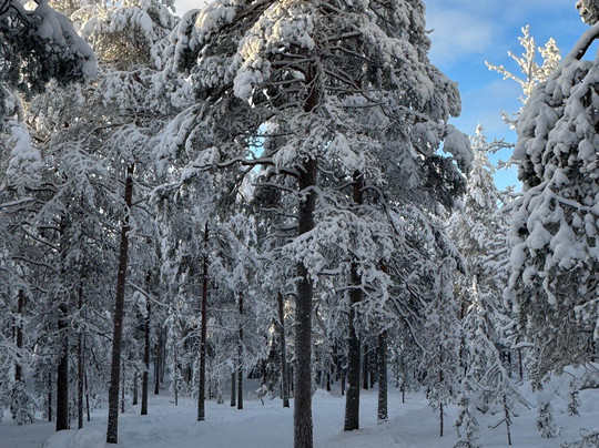 Ounasvaara Winter Trail-罗瓦涅米必去景点