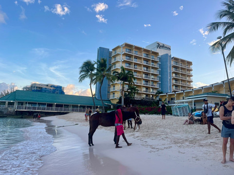 Pebbles Beach-布里奇顿必去景点