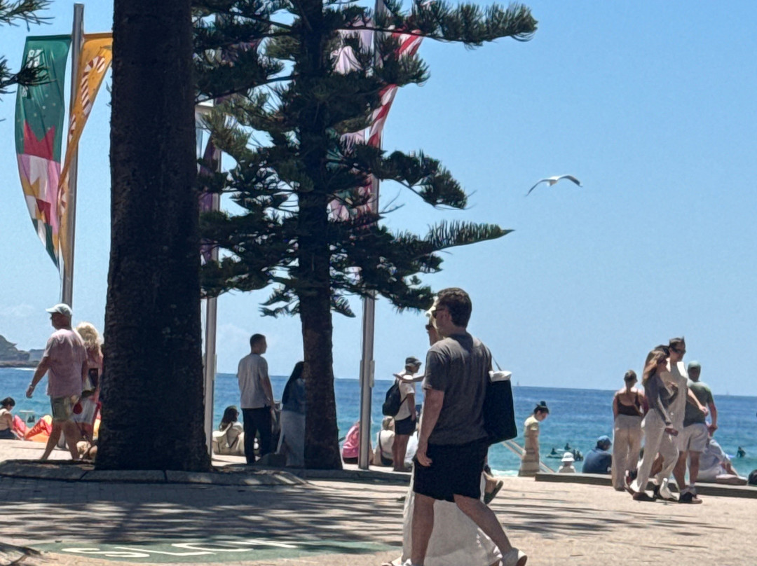 Dee Why Beach-悉尼必去景点