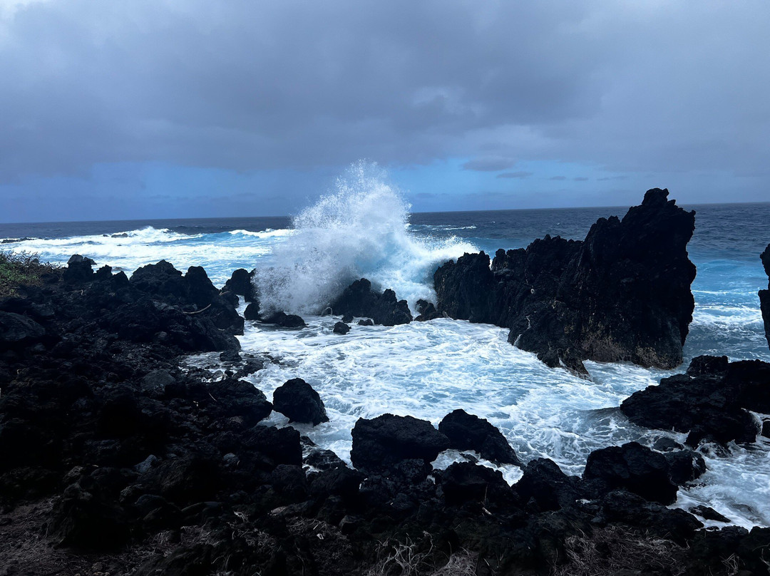 Laupahoehoe Beach Park-劳帕霍也霍也必去景点