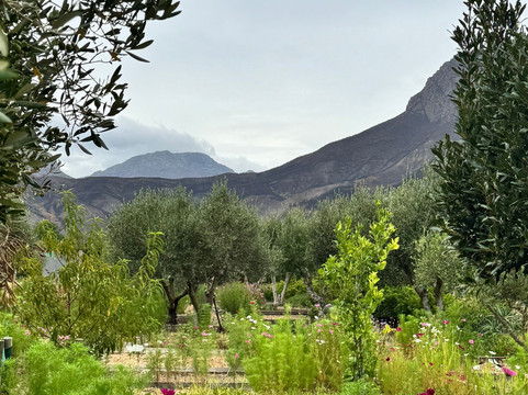 Holden Manz Wine Estate-法兰舒克必去景点