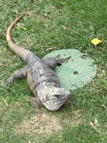 卡泰罗尼亚全功能酒店-浴室