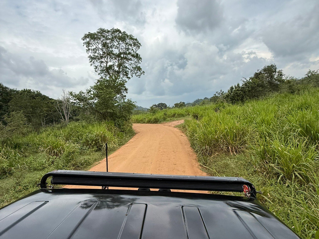 Lakshan jeep safari habarana-哈巴拉娜必去景点