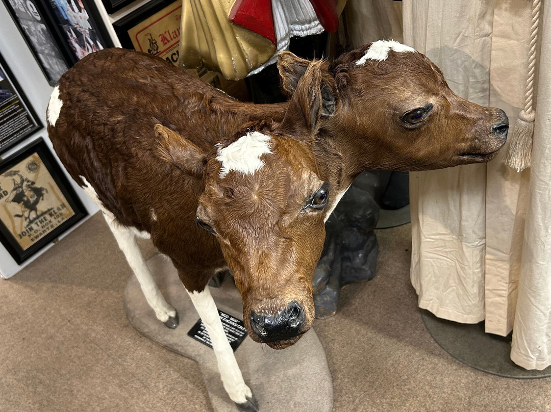 Littledean Jail-Littledean必去景点