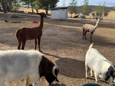 山景农家乐主图