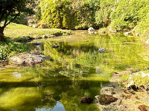 Kakinohanahija-南城市必去景点