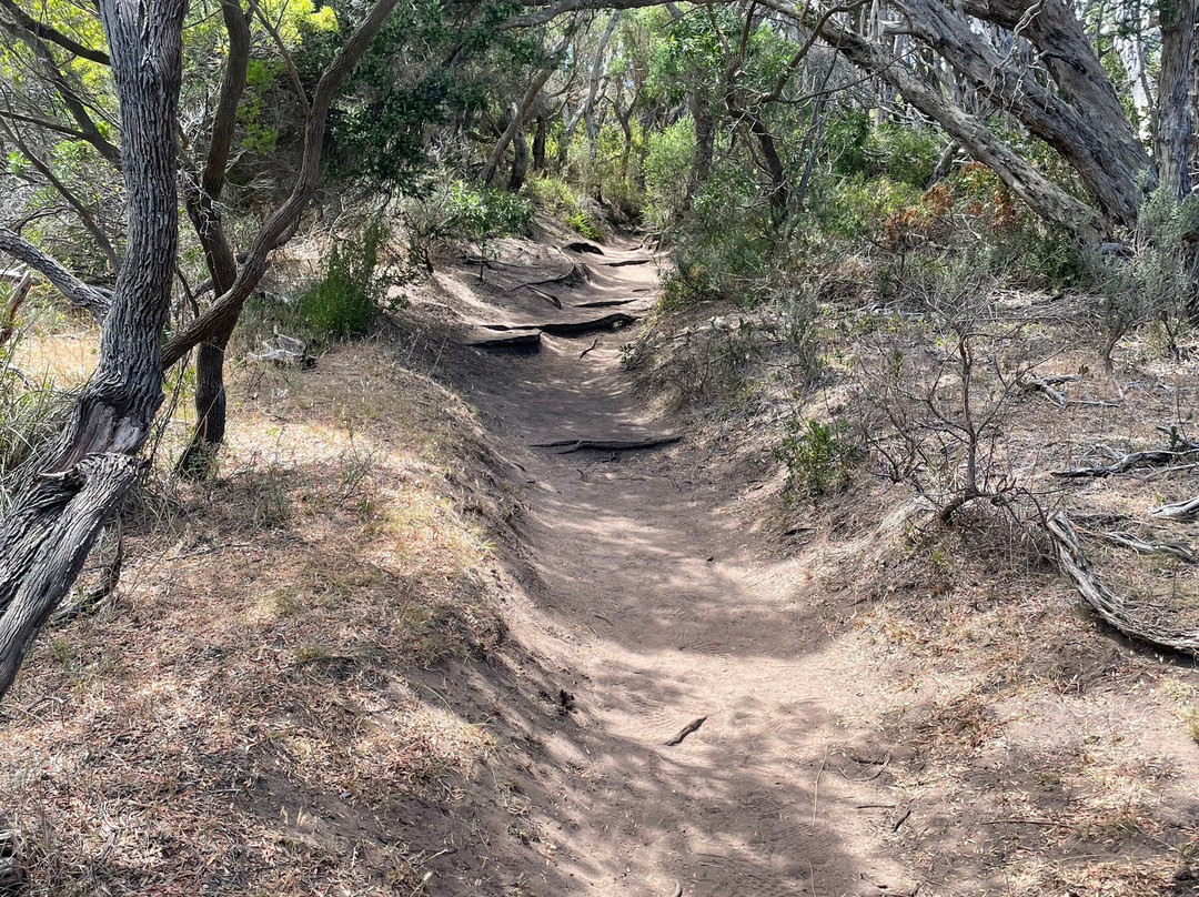 Bushrangers Bay-斯参克岬必去景点