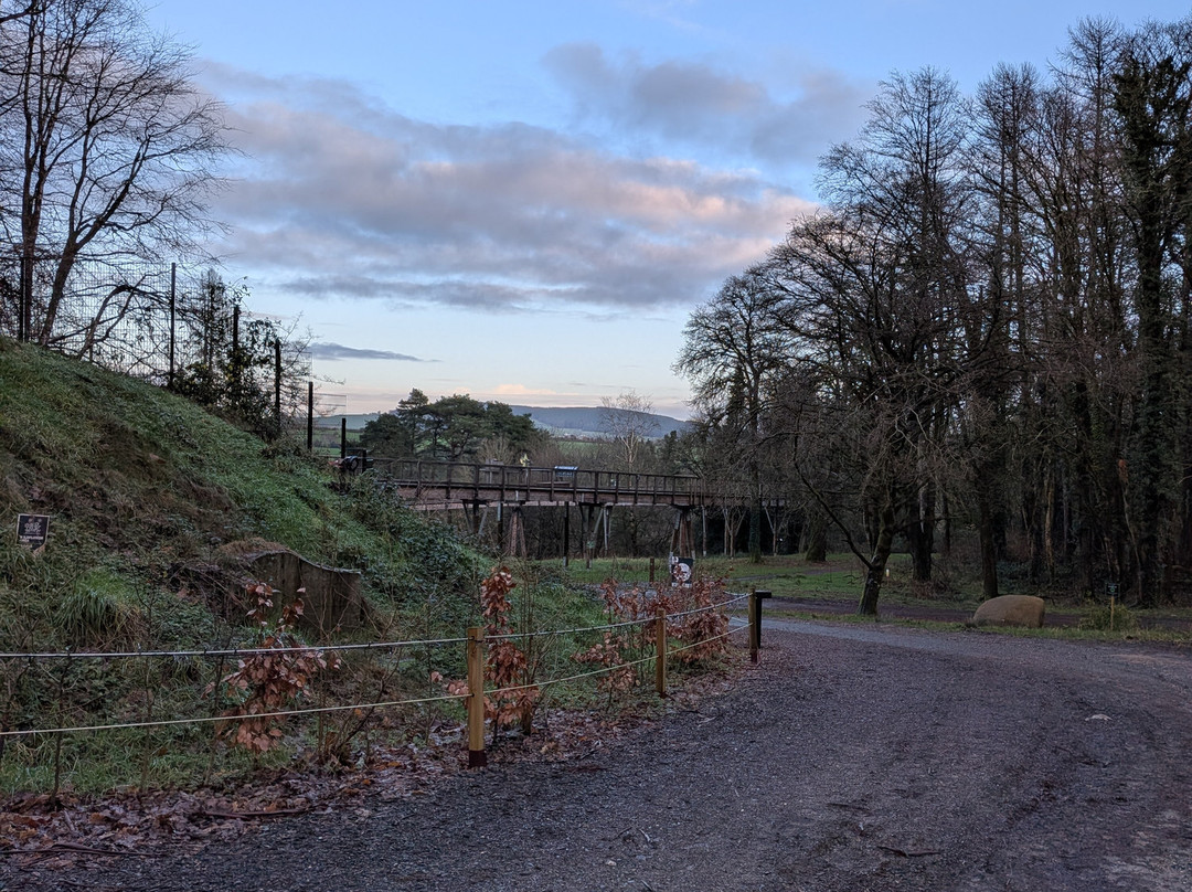 Treetop Walk Avondale-Rathdrum必去景点