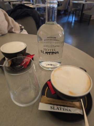 斯拉蒂纳酒店-官方