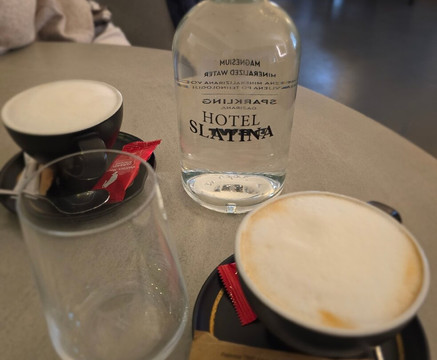 斯拉蒂纳酒店主图