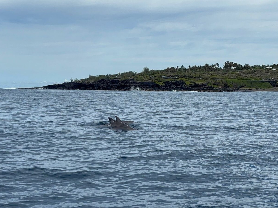 Merveille En Mer-Etang Sale Les Bains必去景点