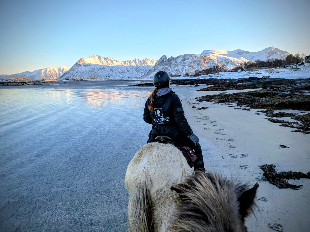 Hov Gård-Gimsoya必去景点