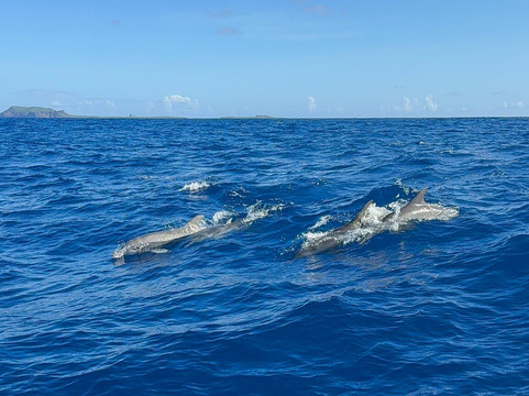 One Drop Excursions-格兰高伯必去景点