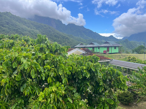 Marama Safari 4x4-法阿必去景点