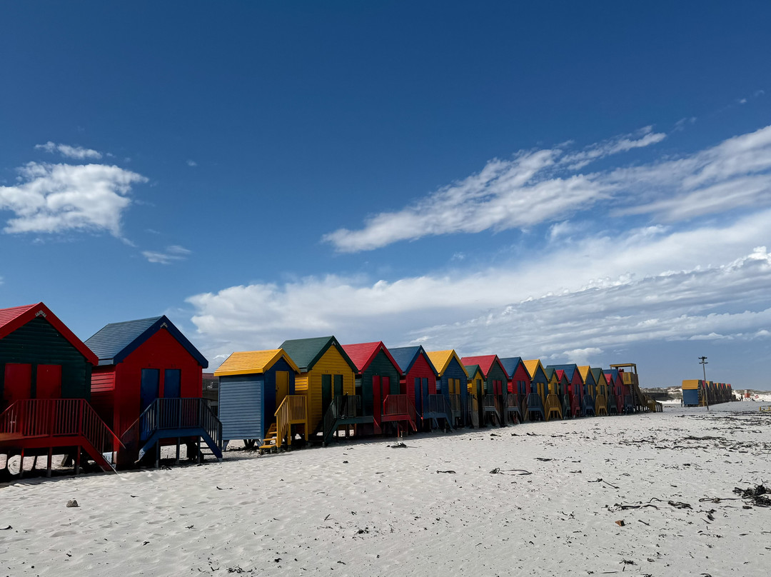 The Cape Town Tour Guide Co.-开普敦中心区必去景点