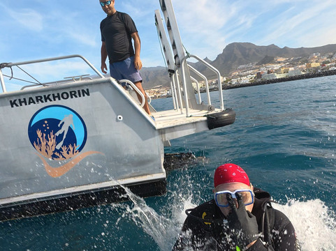 Blue Bottom Diving-奥德杰海岸必去景点