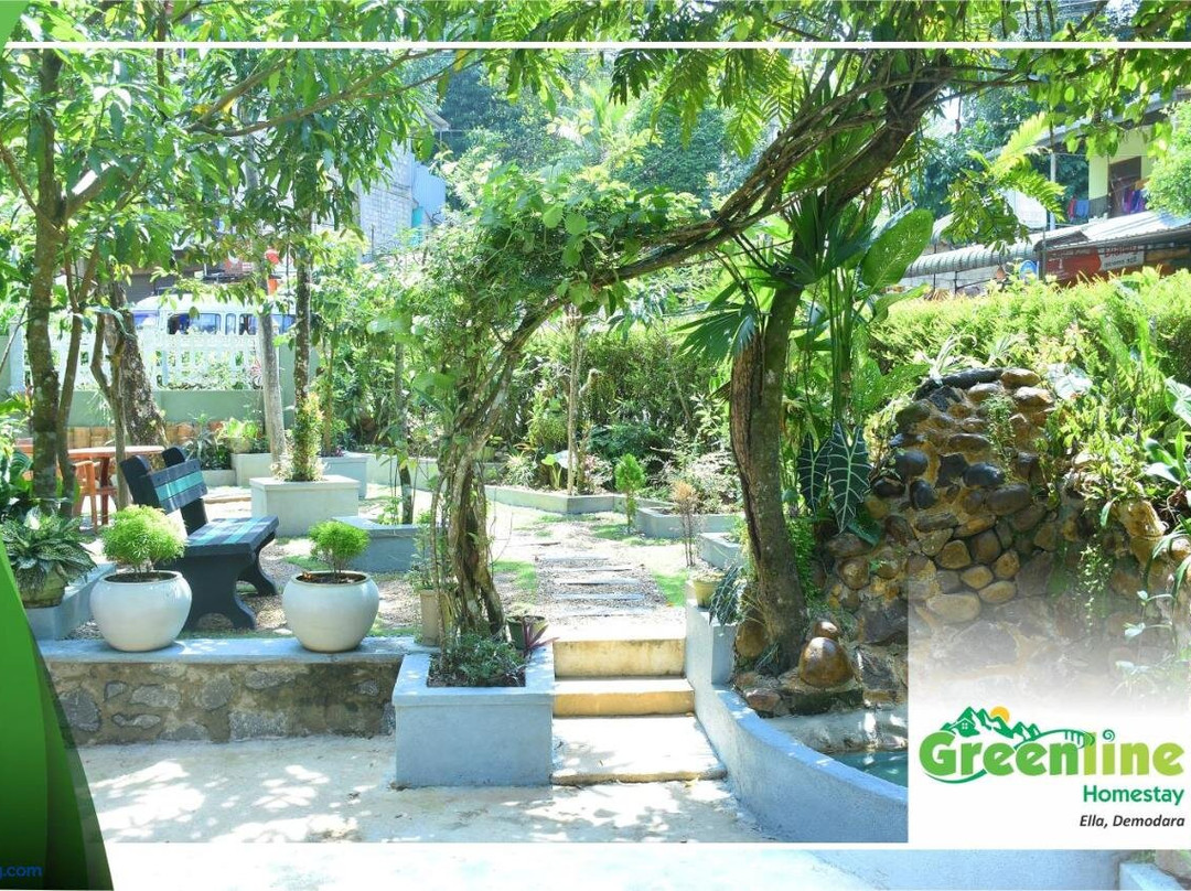 Greenline Homestay