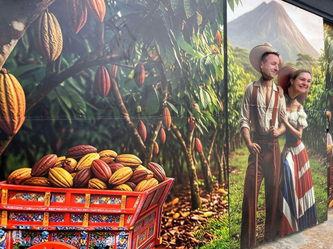 Destino Eco-Residences-巴加塞斯區必去景点