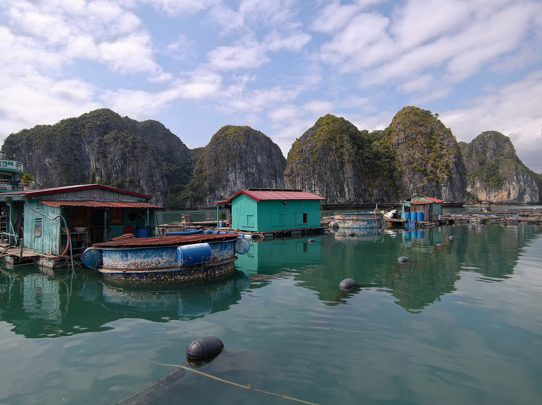 Cat Ba Green Trail Travel-Cat Ba Town必去景点