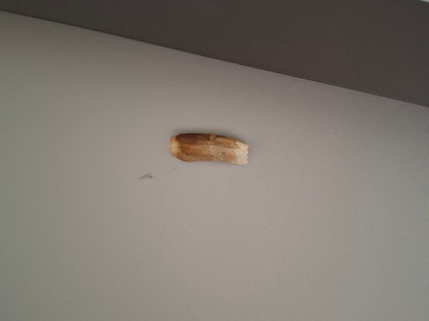 宾顿戴斯酒店主图