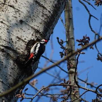 Nature Reserve Eselschwanz-圣马格雷滕必去景点