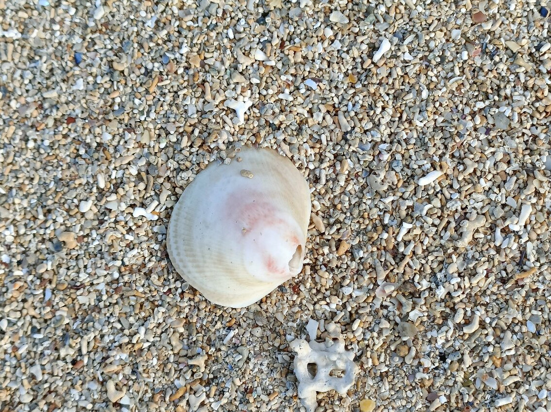 Coral Strand (Trá an Dóilín)-Carraroe必去景点