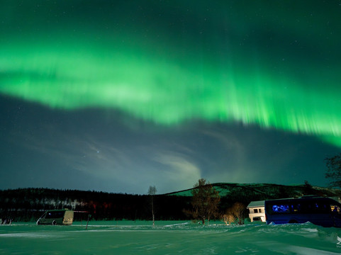 Blue Puffin - Tromso Experiences-特罗姆瑟必去景点