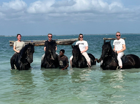 Royal Stable Zanzibar-米查维必去景点