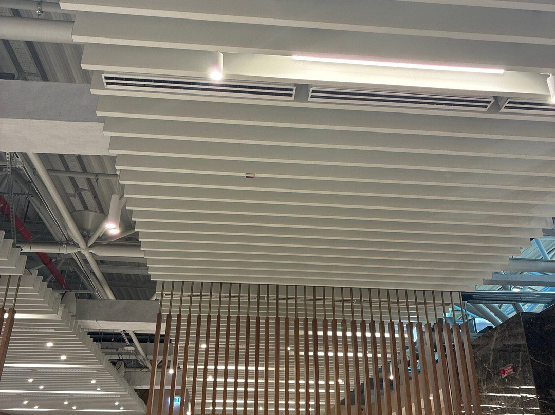 Plaza Premium Lounge (Schengen Area Departures Terminal 1)-菲乌米奇诺必去景点