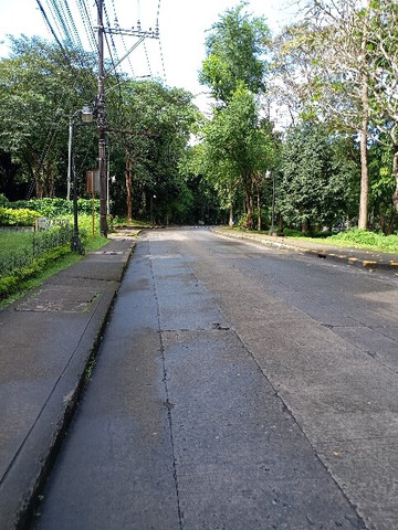 University Of The Philippines - Diliman-奎松市必去景点