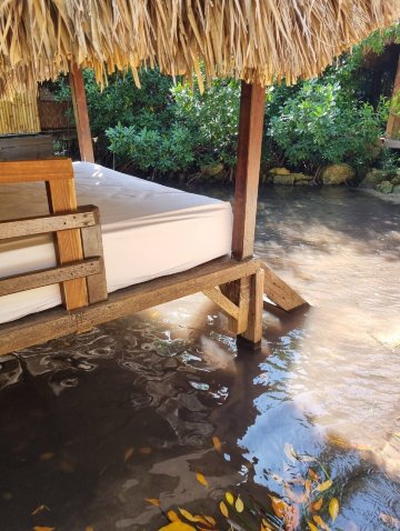 Aruba Ocean Villas-客卧