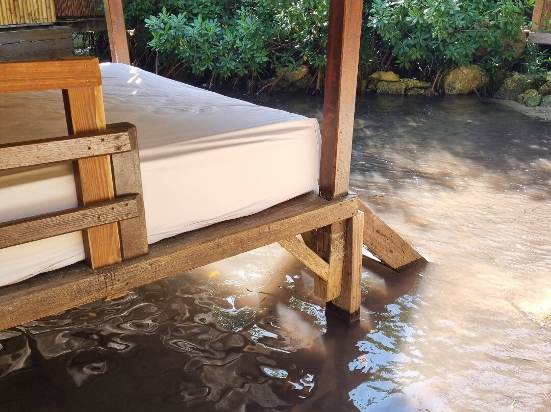 Aruba Ocean Villas主图