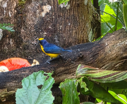 内陆自然保护区酒店主图